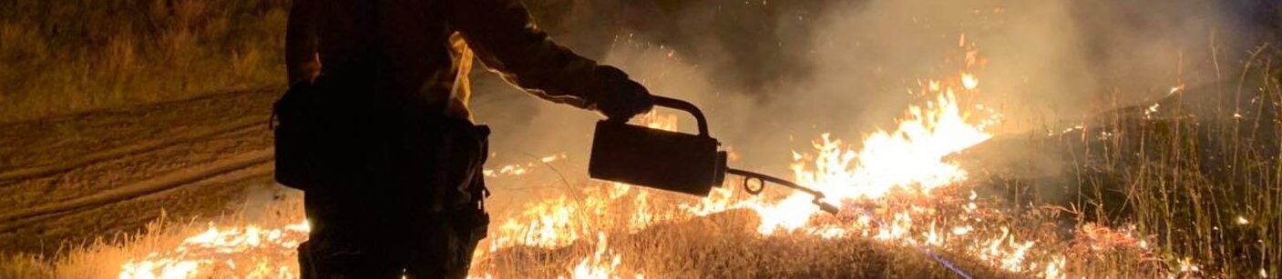Firefighters conduct a controlled burn, using tools to manage flames in a dry landscape. This image highlights wildfire prevention efforts.