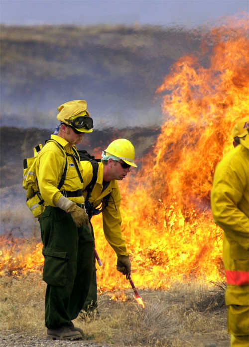 Firefighters conduct a controlled burn, using tools to manage flames in a dry landscape. This image highlights wildfire prevention efforts.